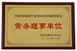 河南省煤炭行業(yè)協(xié)會常務(wù)理事單位