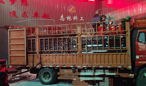 15000米PVC-KM1.25/32、50煤礦用聚氯乙烯管發(fā)貨山西長治